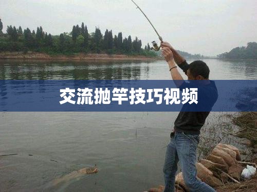 掌握拋竿技巧，交流與學(xué)習(xí)拋竿的實(shí)用視頻指南  第2張