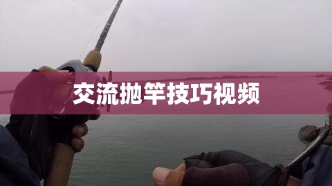 掌握拋竿技巧，交流與學(xué)習(xí)拋竿的實(shí)用視頻指南  第3張