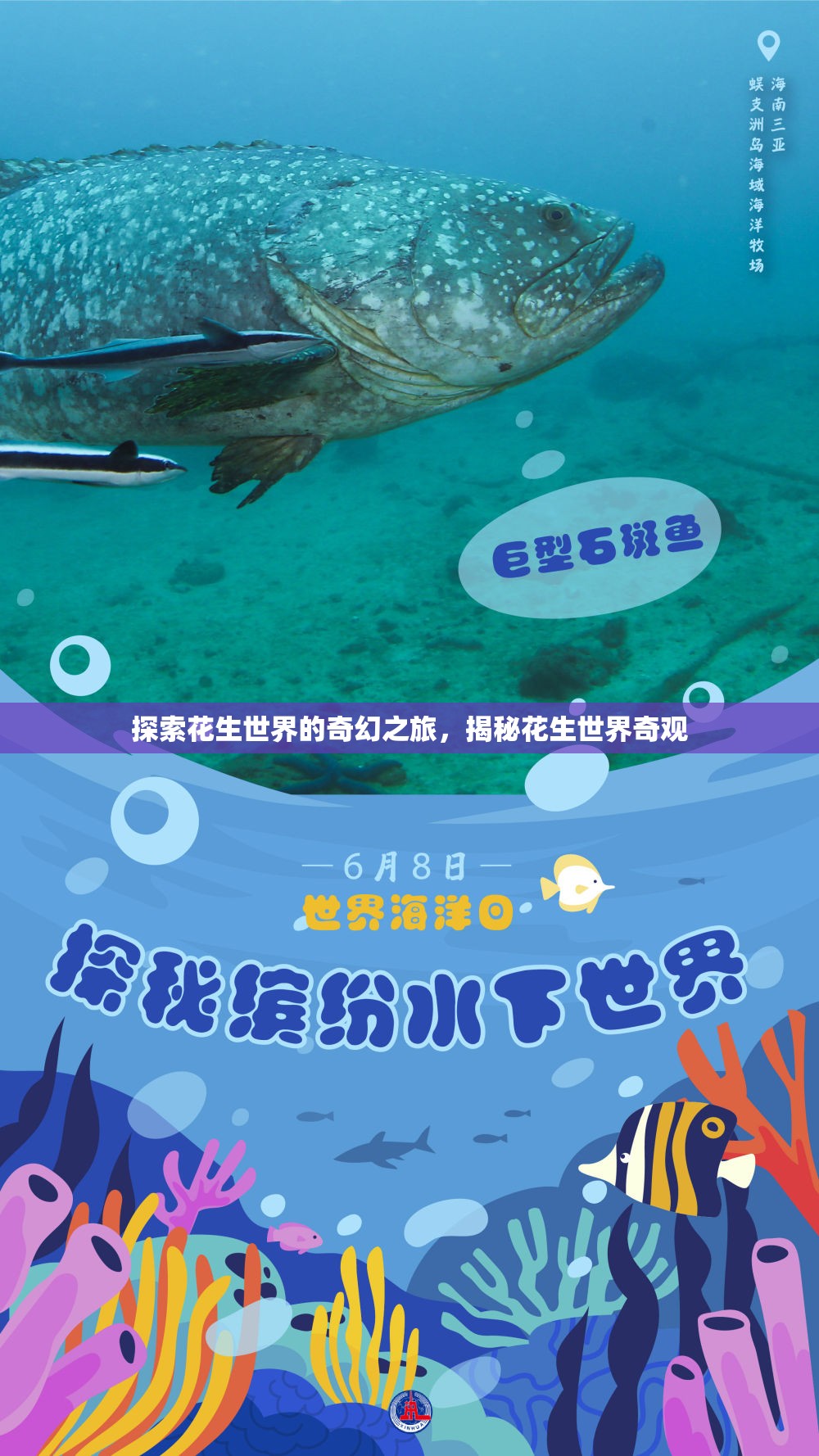 探索花生世界的奇幻之旅，揭秘花生世界的奇妙奇觀