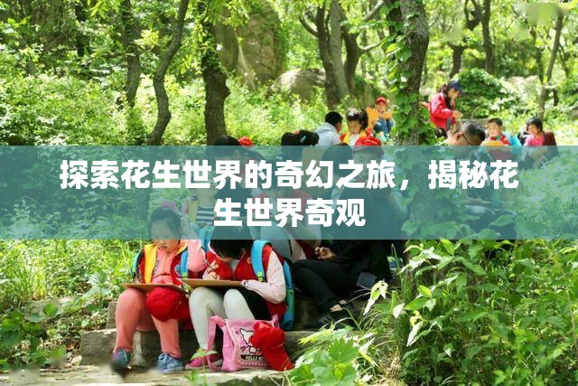 探索花生世界的奇幻之旅，揭秘花生世界的奇妙奇觀