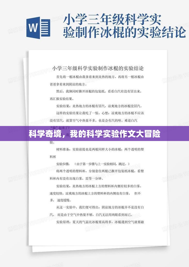 科學奇境，我的科學實驗作文大冒險