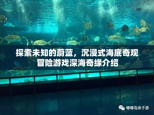 深海奇緣，探索未知的蔚藍，沉浸式海底奇觀冒險之旅  第2張