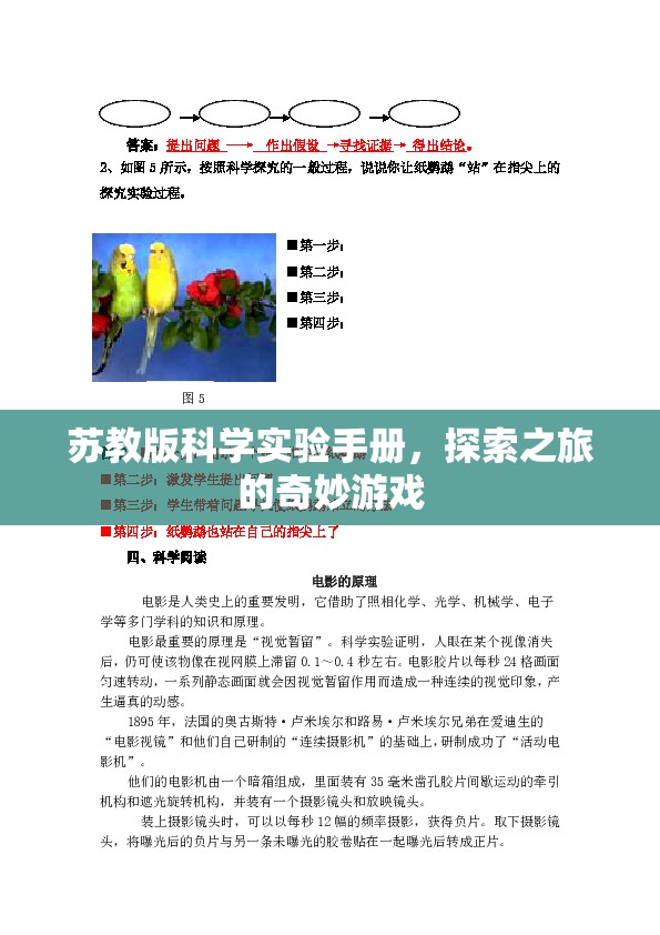 蘇教版科學實驗手冊，探索奇妙之旅的冒險游戲