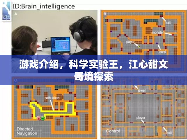 科學實驗王，江心甜與文奇境的奇幻探索之旅