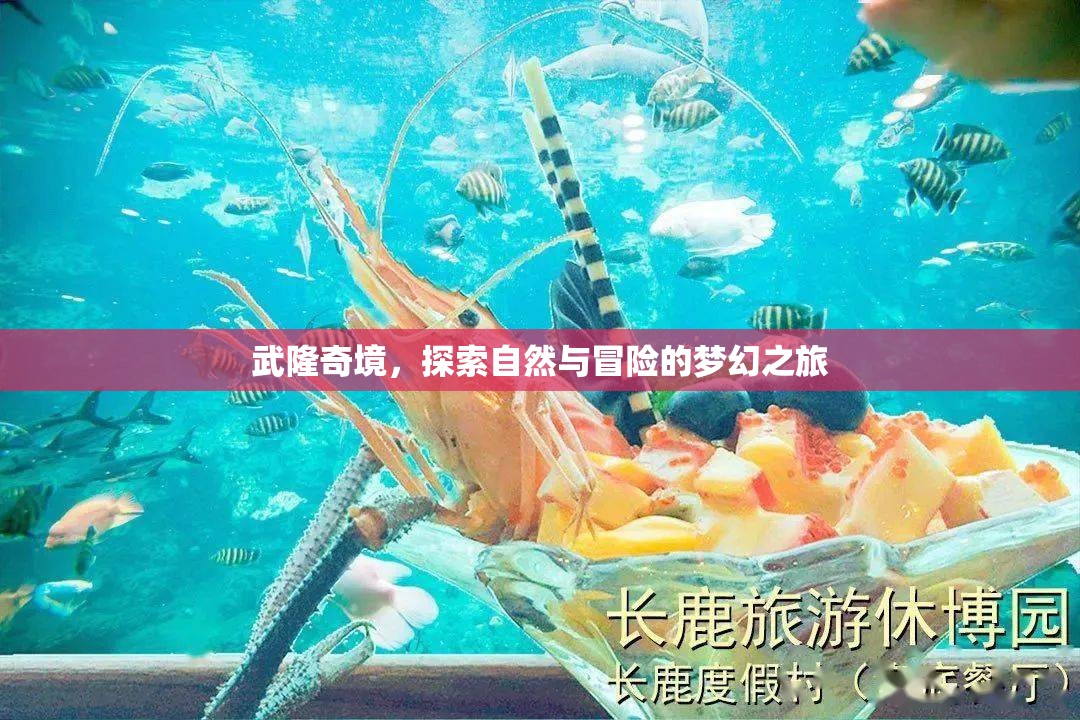 武隆奇境，自然與冒險(xiǎn)的夢幻之旅