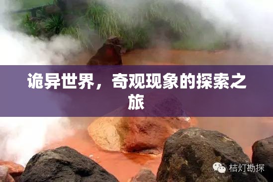 探索詭異世界的奇觀(guān)現(xiàn)象之旅
