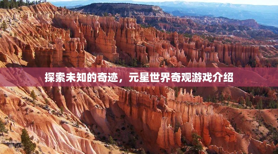 探索未知的奇跡，元星世界奇觀游戲深度解析