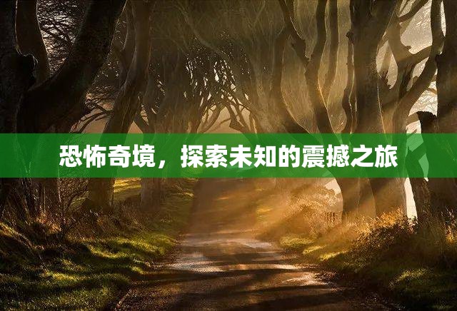 恐怖奇境，一場探索未知的震撼之旅