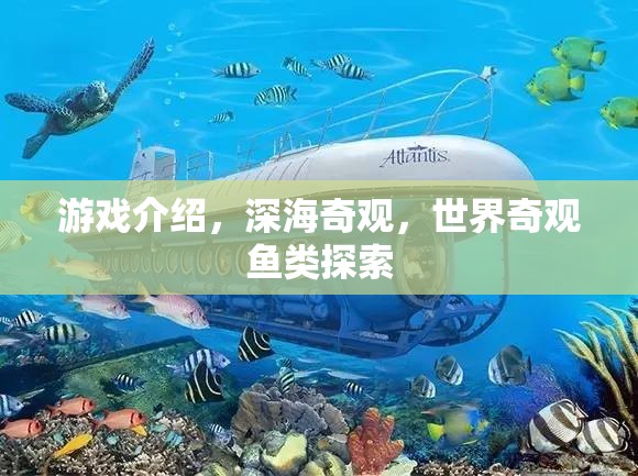 探索深海奇觀，揭秘世界奇觀魚類