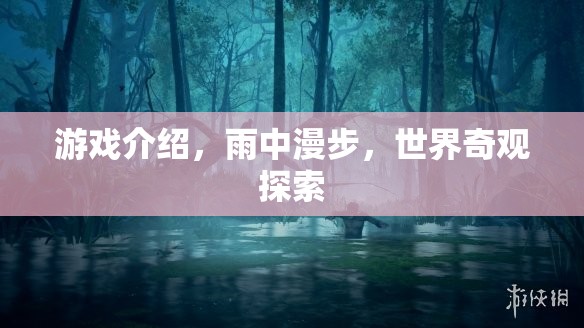 雨中漫步，探索世界奇觀的奇妙之旅