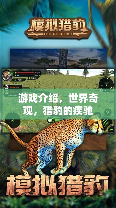 獵豹疾馳，探索世界奇觀中的速度與激情