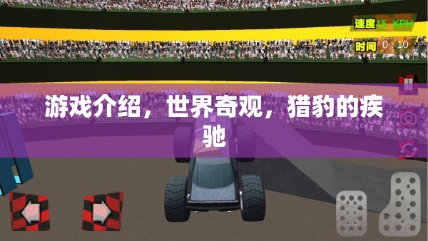 獵豹疾馳，探索世界奇觀中的速度與激情