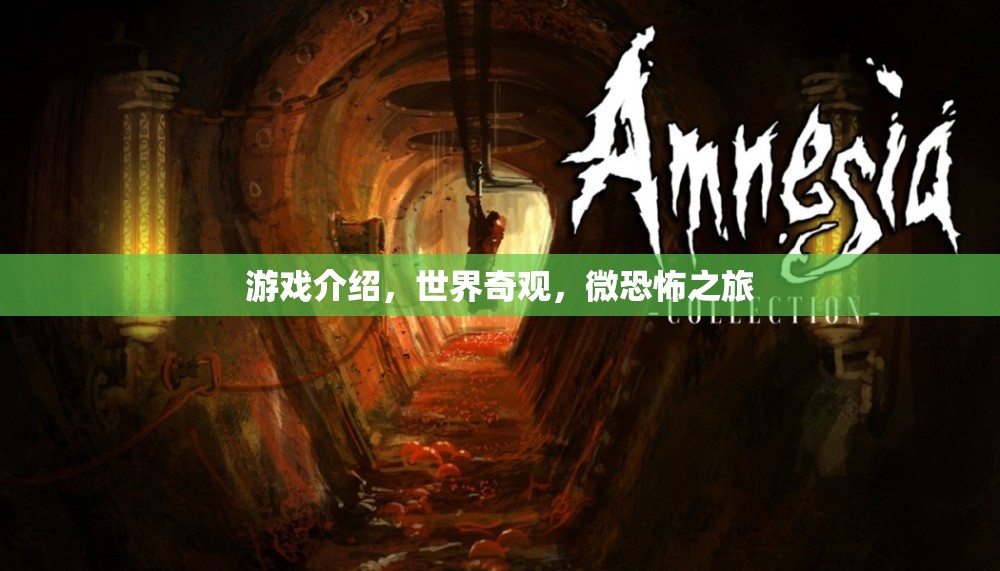微恐怖之旅，探索世界奇觀中的未知游戲  第2張