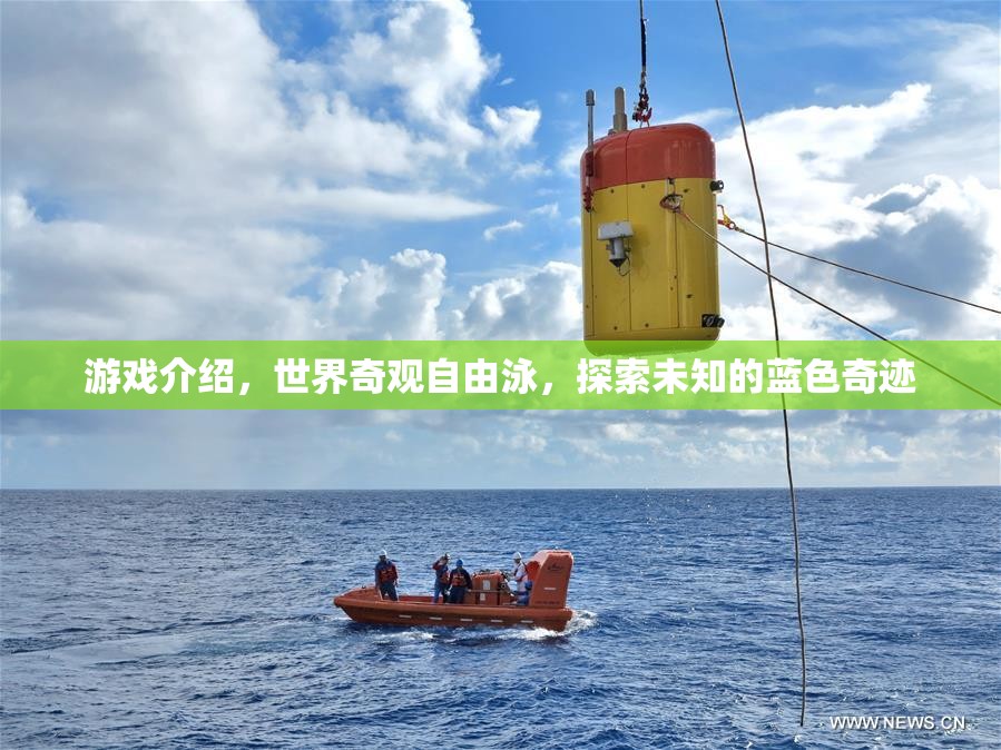 探索未知的藍(lán)色奇跡，世界奇觀自由泳之旅  第3張
