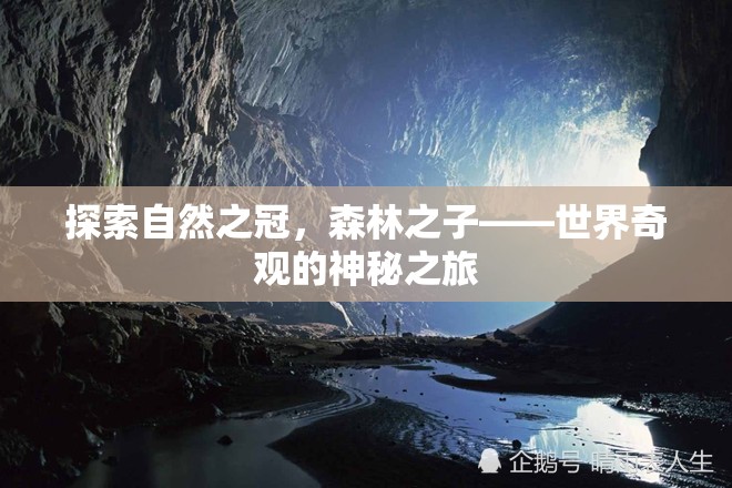 森林之子，探索自然之冠的神秘之旅  第2張