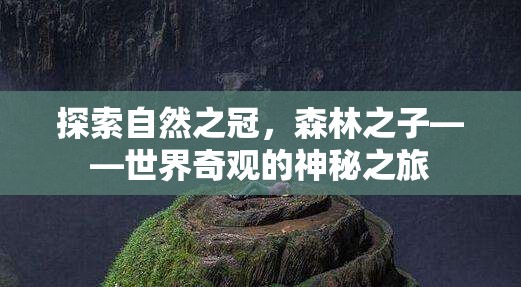 森林之子，探索自然之冠的神秘之旅