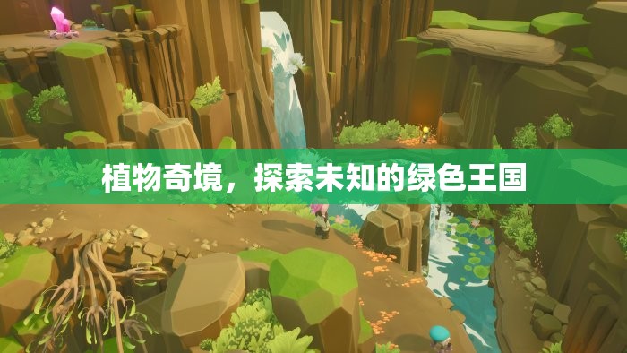 探索未知的綠色王國(guó)，植物奇境的奧秘之旅  第2張