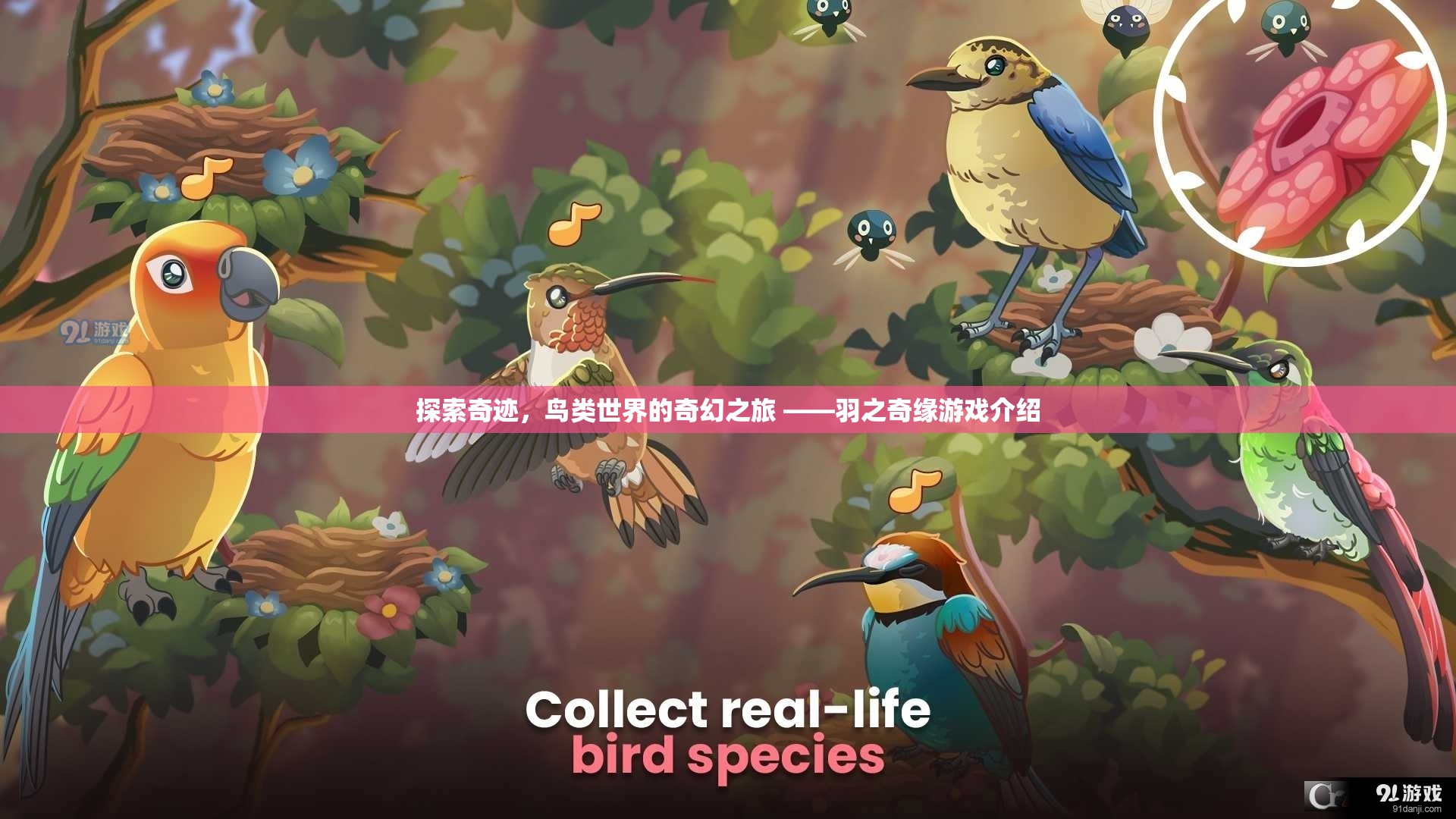 羽之奇緣，探索鳥類世界的奇幻之旅