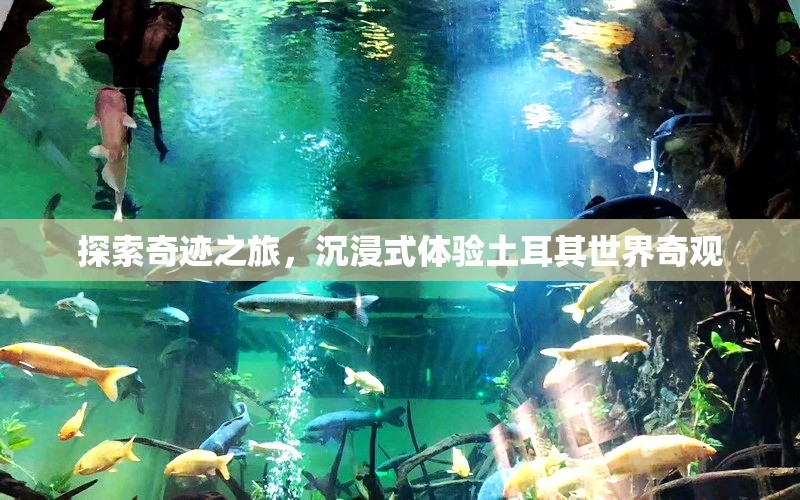 奇跡之旅，沉浸式探索土耳其世界奇觀(guān)