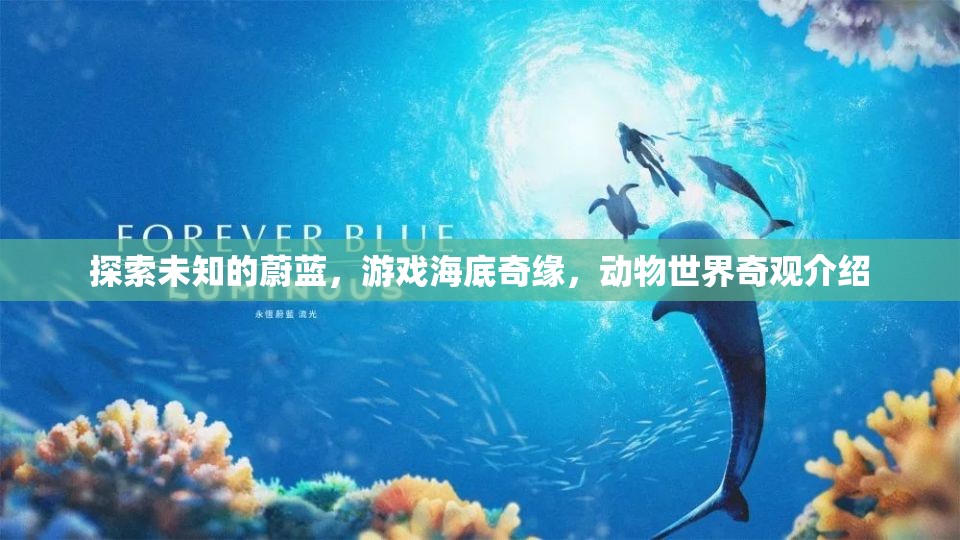 探索海底奇緣，揭秘游戲中的動(dòng)物世界奇觀
