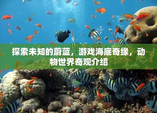 探索海底奇緣，揭秘游戲中的動(dòng)物世界奇觀