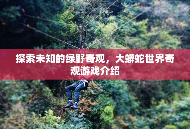 綠野奇觀，探索大蟒蛇世界的神秘之旅