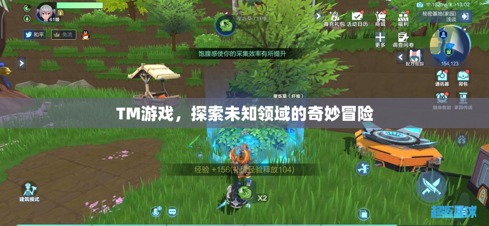 TM游戲，探索未知領(lǐng)域的奇妙冒險(xiǎn)之旅  第3張