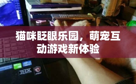 萌寵互動(dòng)新紀(jì)元，貓咪眨眼樂(lè)園的趣味探險(xiǎn)