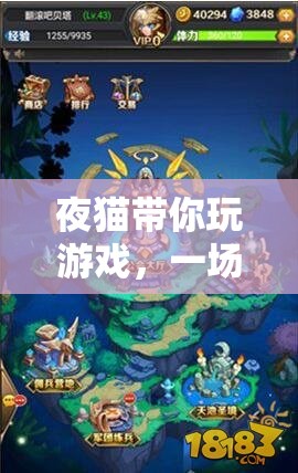 夜貓的奇幻時(shí)空之旅，一場跨越維度的游戲冒險(xiǎn)