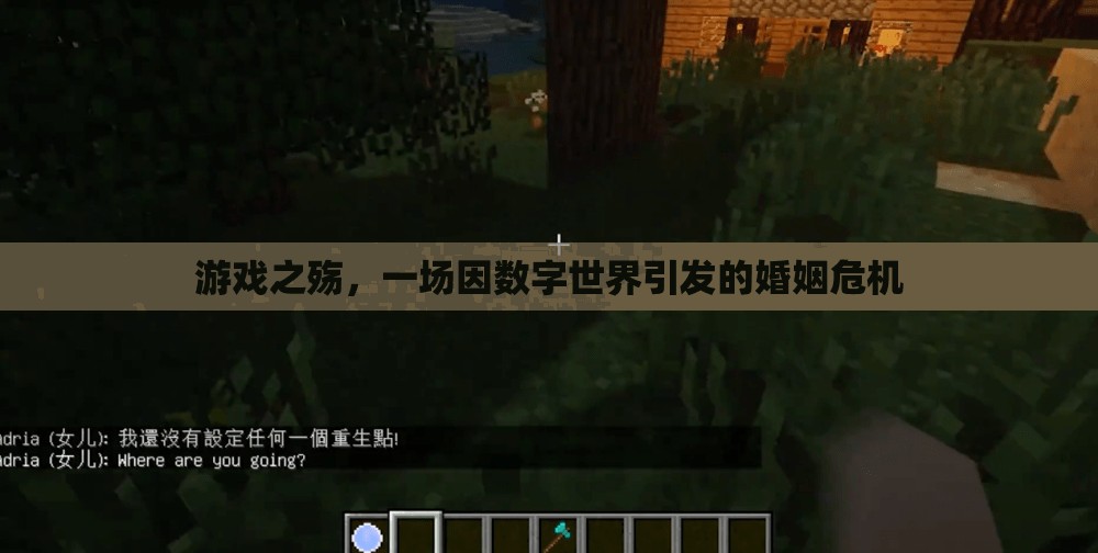 數(shù)字世界的誘惑，游戲之殤引發(fā)的婚姻危機(jī)