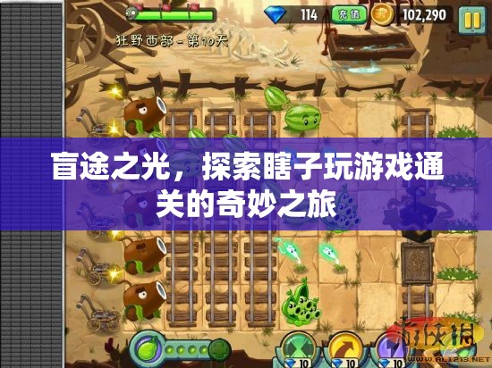 盲途之光，探索瞎子玩家的游戲通關(guān)奇妙之旅