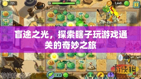 盲途之光，探索瞎子玩家的游戲通關(guān)奇妙之旅