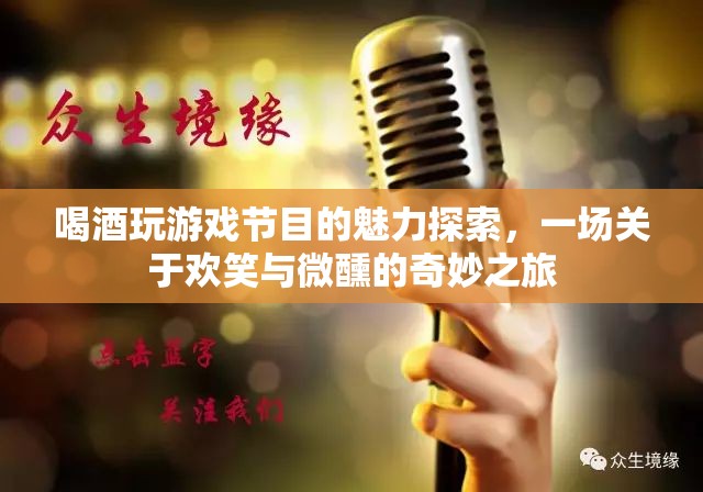 微醺歡笑，探索喝酒玩游戲節(jié)目的獨(dú)特魅力