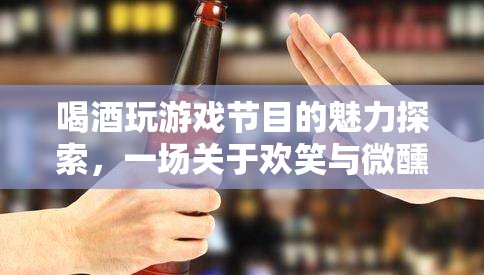 微醺歡笑，探索喝酒玩游戲節(jié)目的獨(dú)特魅力