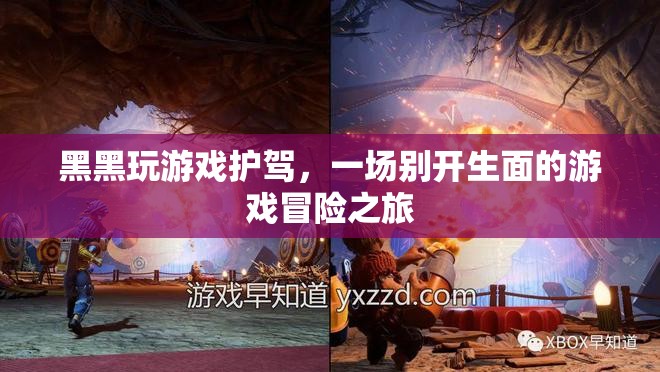黑黑游戲護(hù)駕，一場別具一格的冒險(xiǎn)之旅