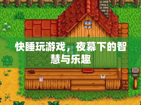 夜幕下的智慧與樂(lè)趣，快睡玩游戲的魅力