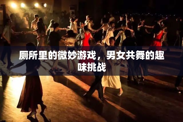 廁所里的微妙游戲，男女共舞的趣味挑戰(zhàn)