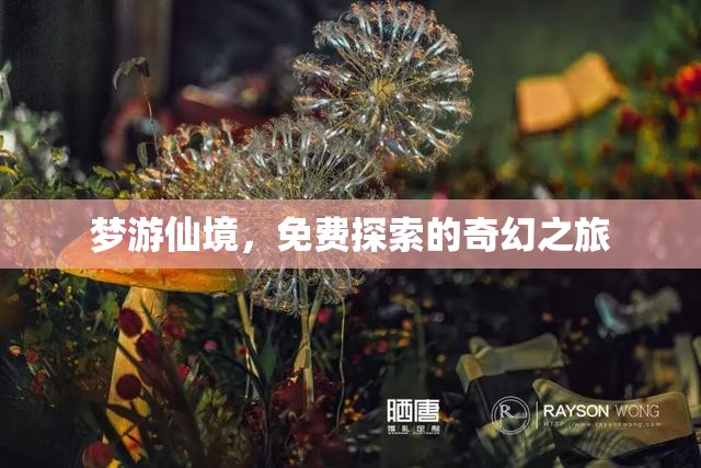 夢游仙境，一場免費探索的奇幻之旅