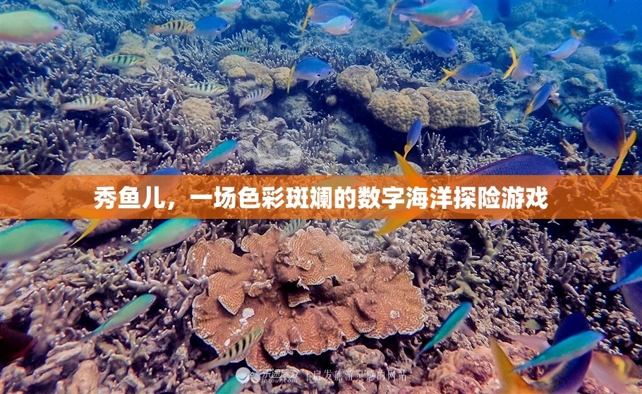 秀魚兒，色彩斑斕的數(shù)字海洋探險(xiǎn)之旅