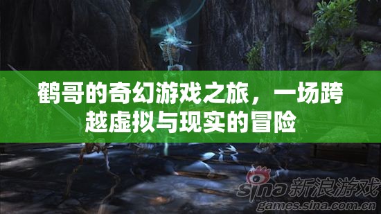 鶴哥的奇幻游戲，虛擬與現(xiàn)實(shí)的跨界冒險(xiǎn)