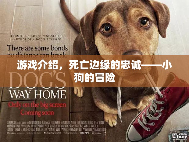 死亡邊緣的忠誠，小狗的冒險之旅  第2張
