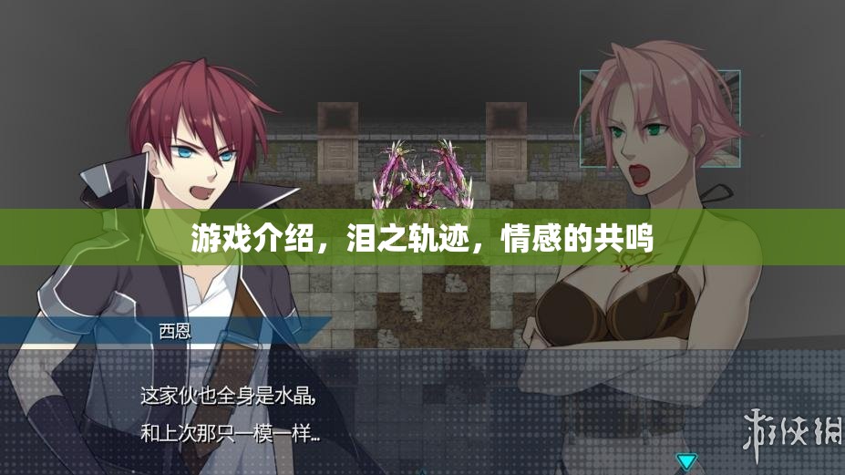 淚之軌跡，情感共鳴的深度游戲體驗(yàn)