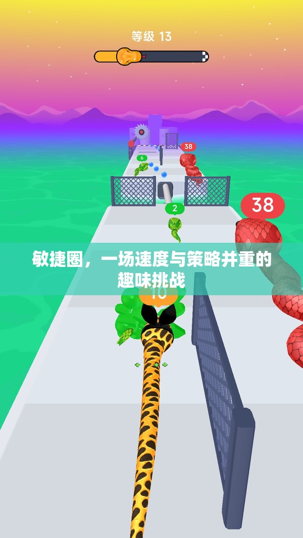 敏捷圈，速度與策略的趣味碰撞