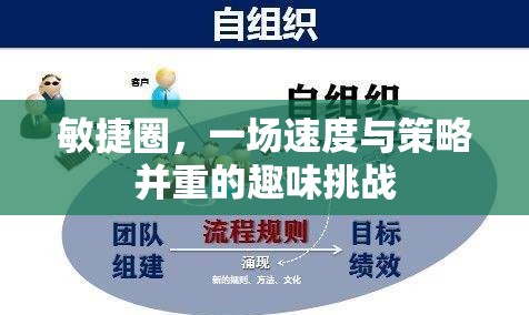 敏捷圈，速度與策略的趣味碰撞