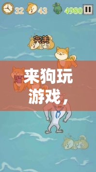 智慧與忠誠的歡樂盛宴，來狗玩游戲