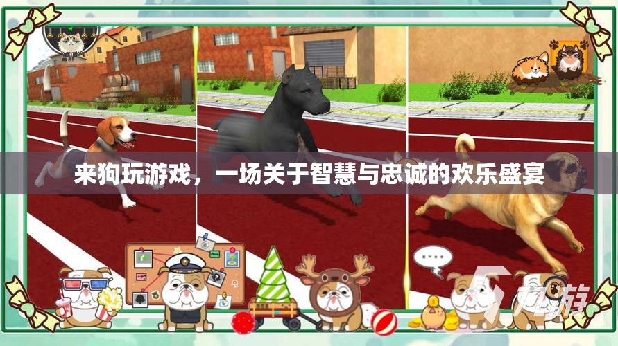 智慧與忠誠的歡樂盛宴，來狗玩游戲