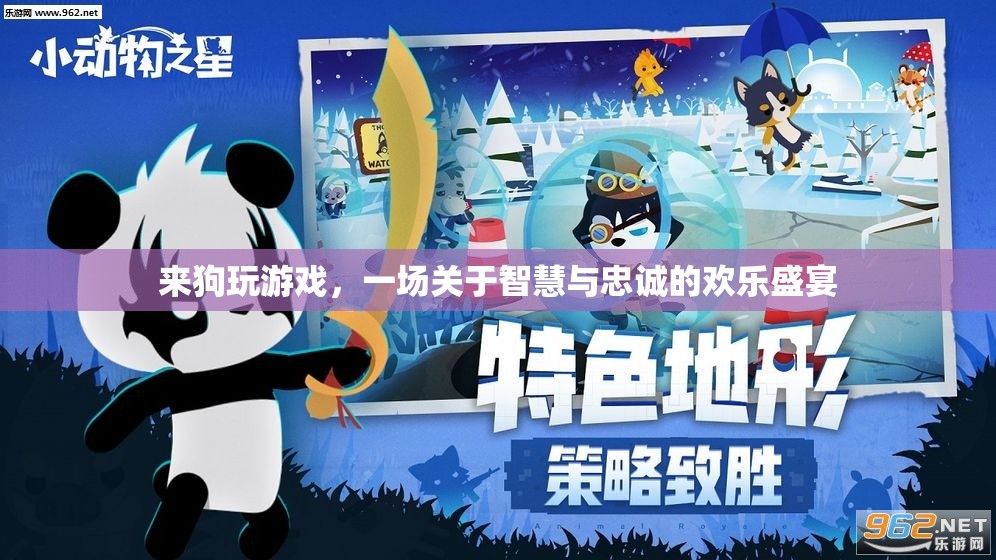 智慧與忠誠的歡樂盛宴，來狗玩游戲