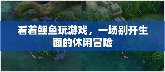 鯉魚(yú)之舞，一場(chǎng)別開(kāi)生面的休閑冒險(xiǎn)