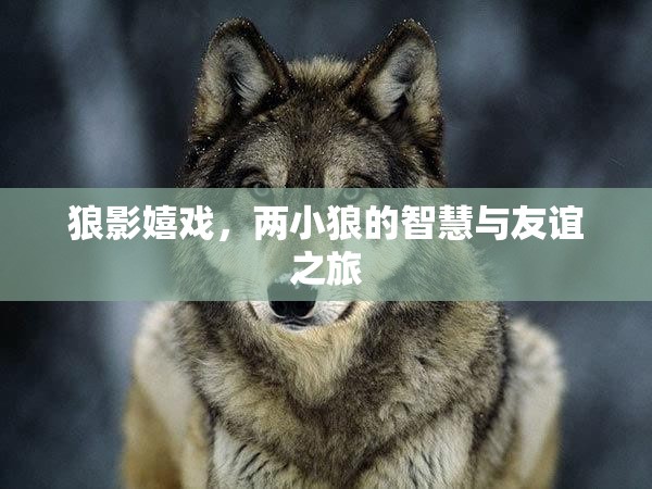 狼影嬉戲，兩小狼的智慧與友誼之旅  第1張