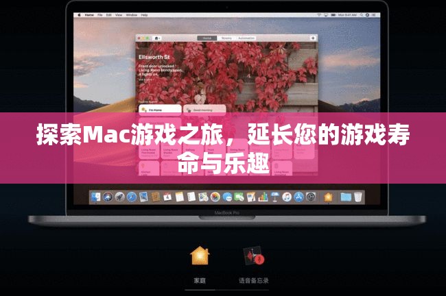 探索Mac游戲之旅，延長游戲壽命與樂趣的秘訣